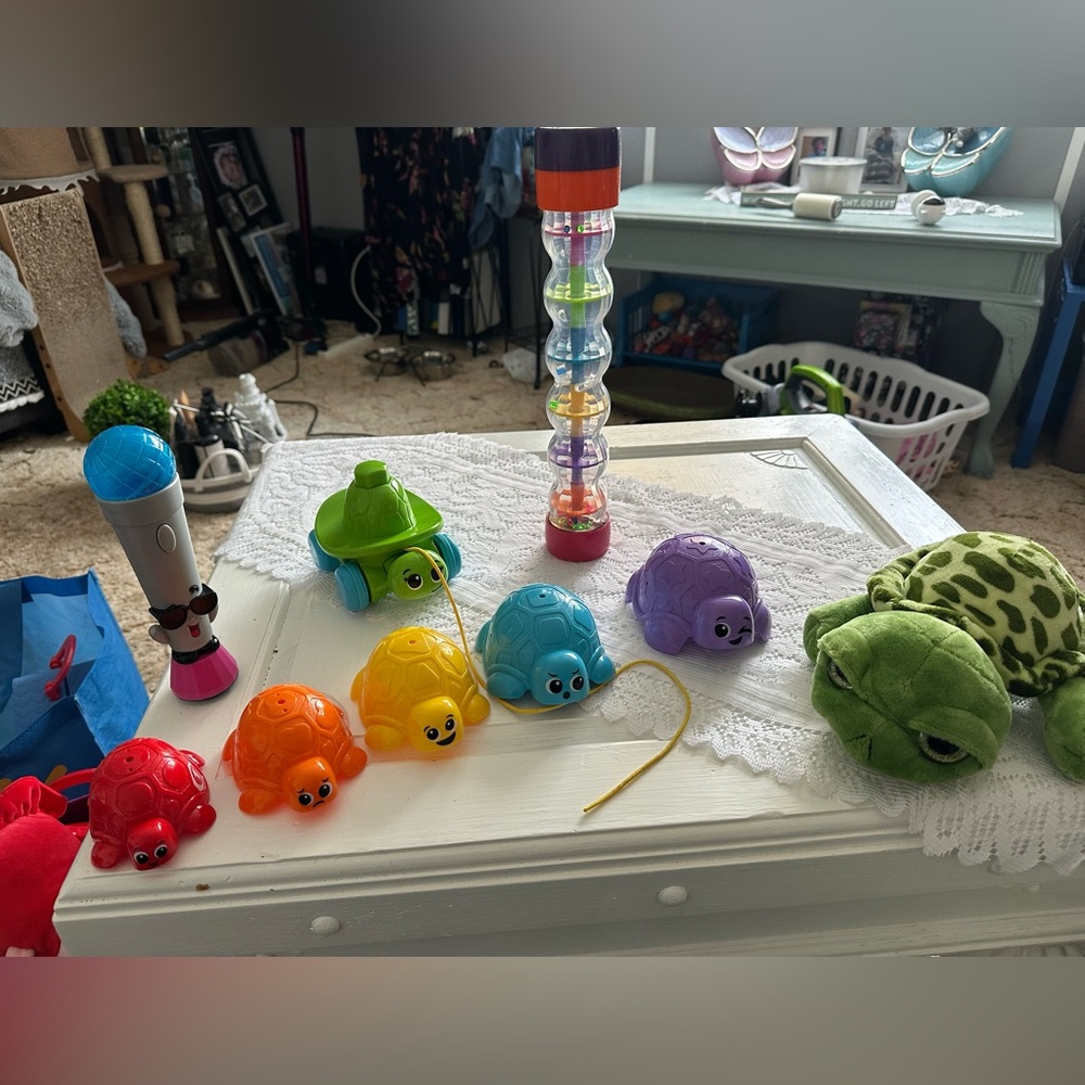 Colorful Turtle Pull Toy Set
